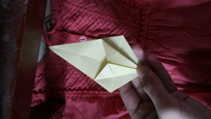 漂亮的百合 折纸教程(=^-ω-^=) 第9步