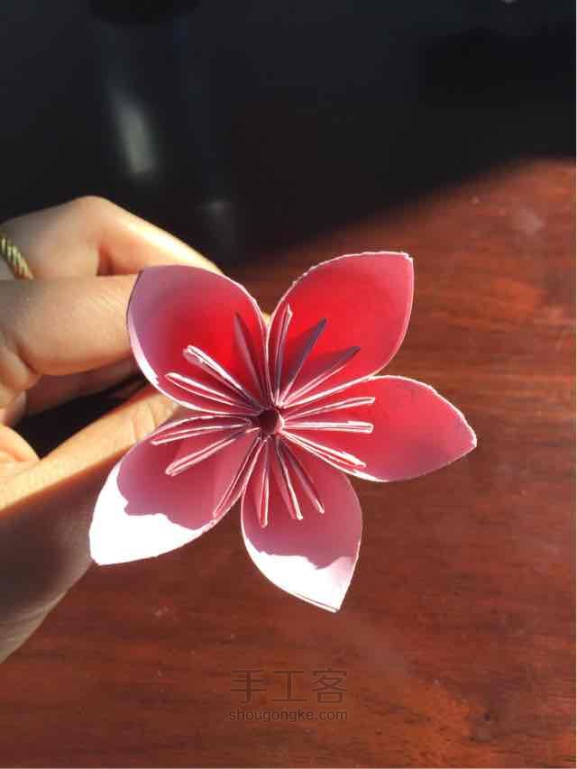 🌸樱花 折纸教程 第1步