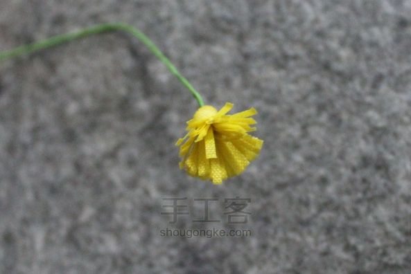 格桑花花束教程 第20步