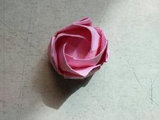 折川崎玫瑰需要时间和耐心，爱一个人亦是如此。