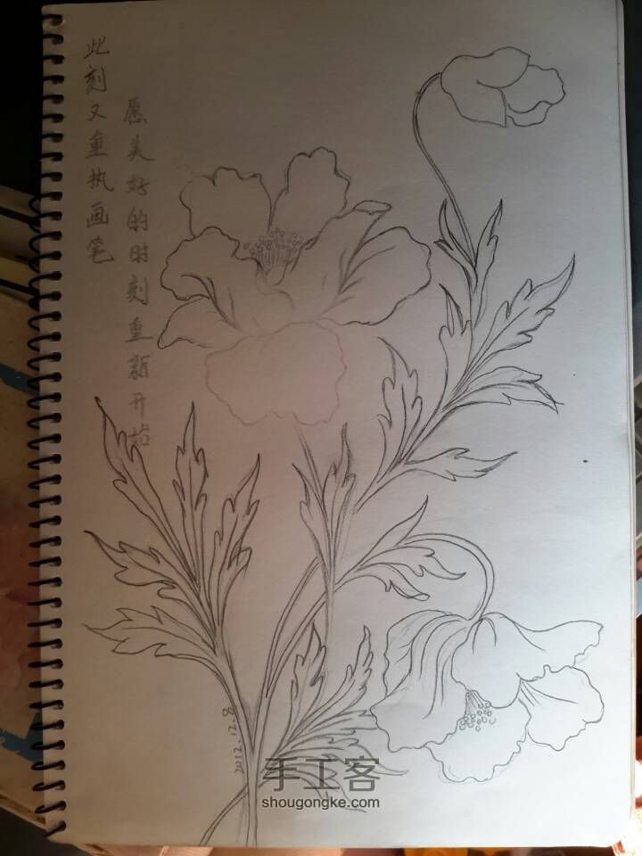 彩铅花卉 第3步