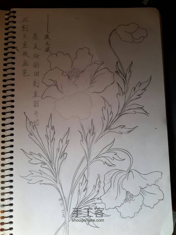 彩铅花卉 第2步
