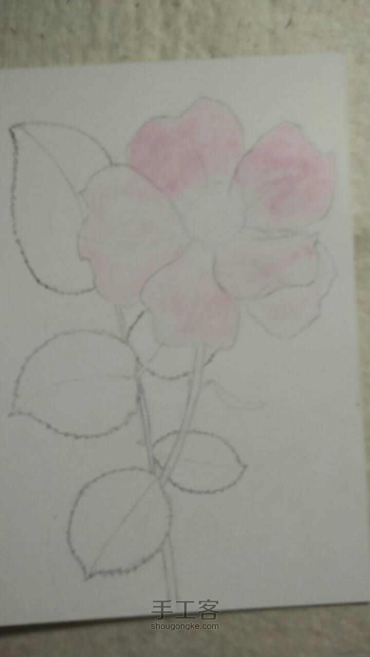 玫瑰花画法（初学）教程 第2步