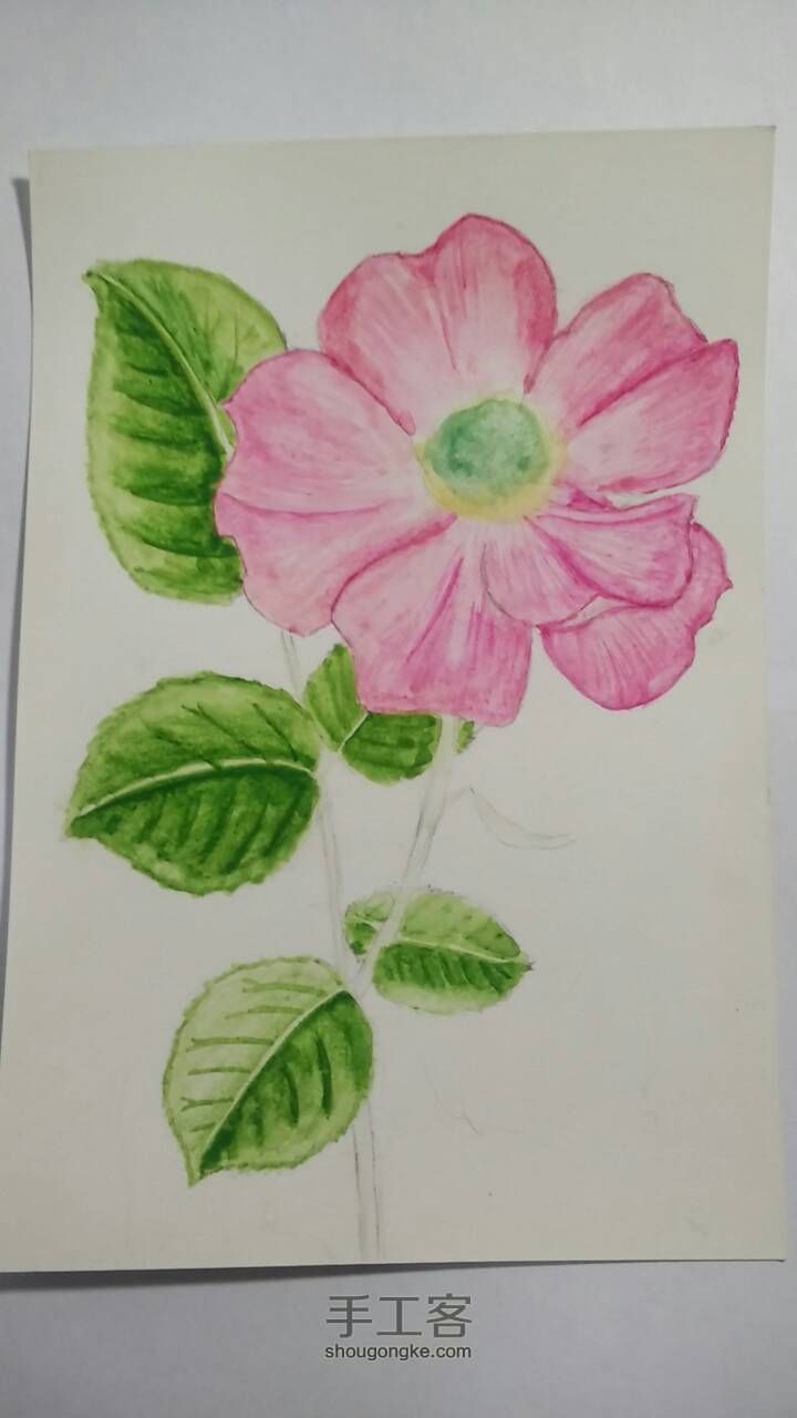 玫瑰花画法（初学）教程 第5步