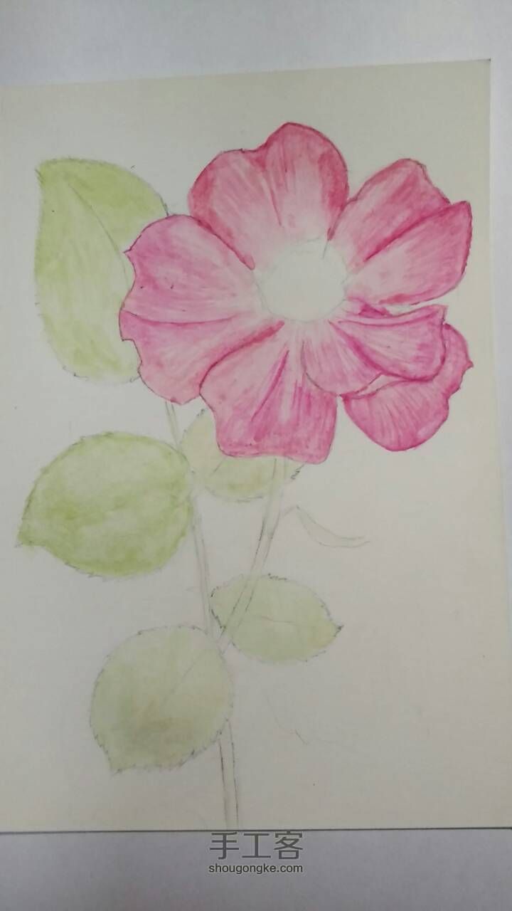 玫瑰花画法（初学）教程 第4步