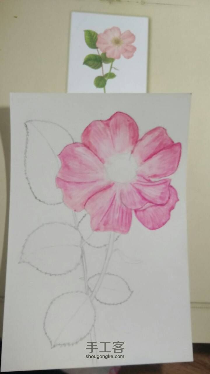 玫瑰花画法（初学）教程 第3步