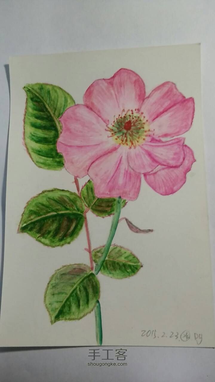 玫瑰花画法（初学）教程 第6步