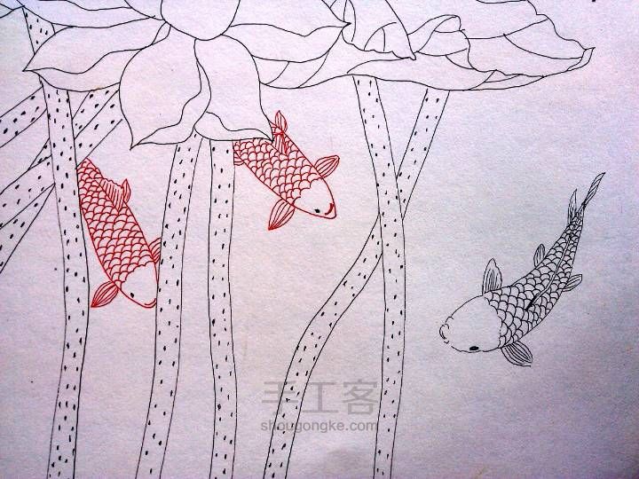 连年有余——彩铅画教程 第4步