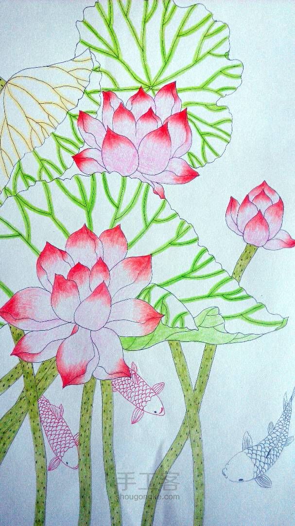 连年有余——彩铅画教程 第7步