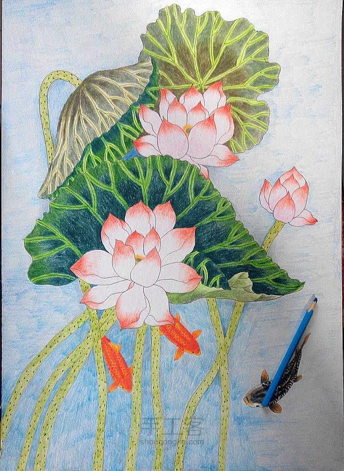 连年有余——彩铅画教程 第27步