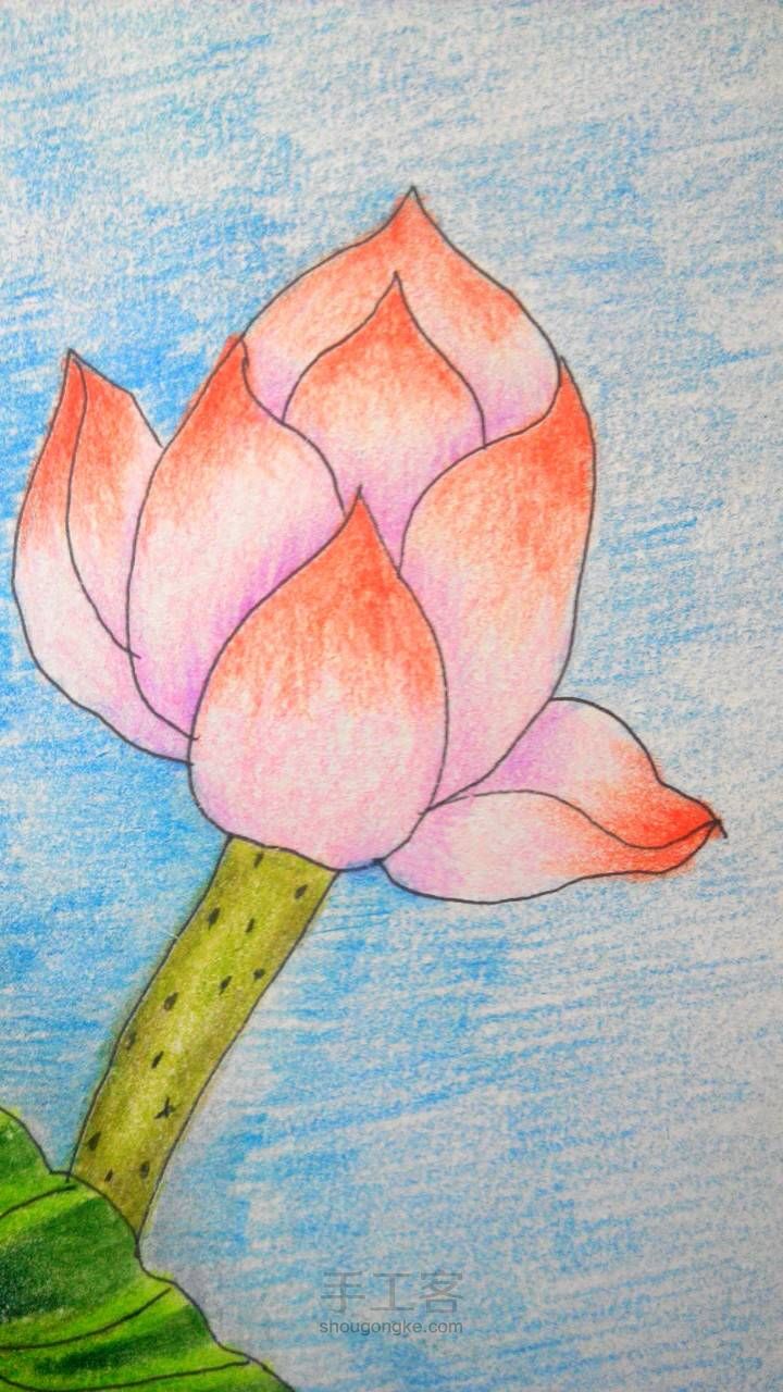 连年有余——彩铅画教程 第22步
