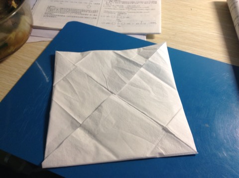 纸巾折花教程 第2步