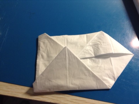 纸巾折花教程 第5步