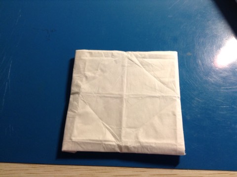 纸巾折花教程 第7步