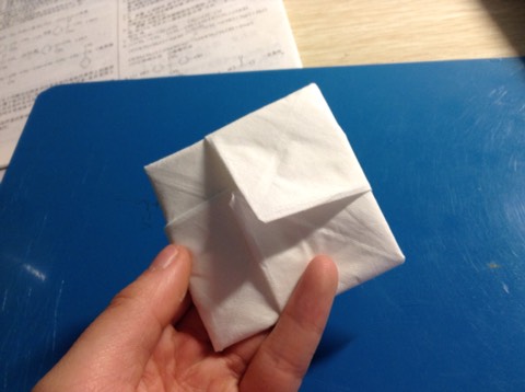 纸巾折花教程 第9步