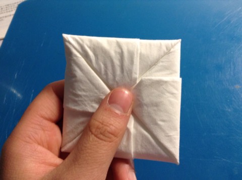 纸巾折花教程 第8步