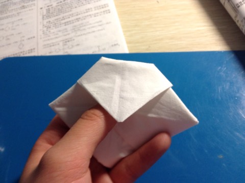 纸巾折花教程 第11步