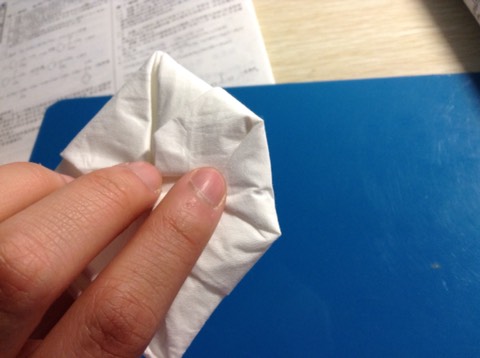 纸巾折花教程 第12步