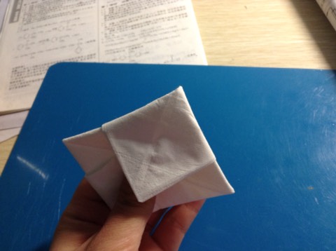 纸巾折花教程 第10步