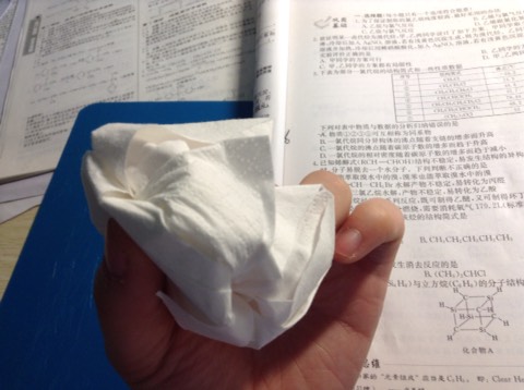 纸巾折花教程 第19步