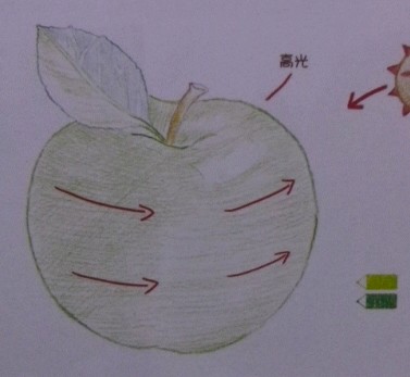萌之物语.水果系列.教你画可爱绿苹果 第5步