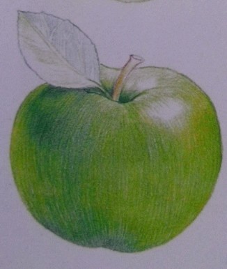 萌之物语.水果系列.教你画可爱绿苹果 第8步