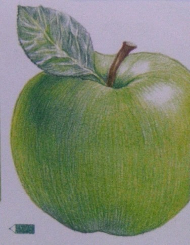 萌之物语.水果系列.教你画可爱绿苹果 第11步