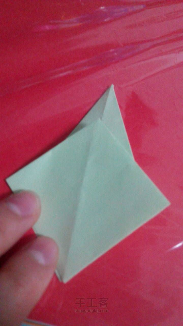 简易孔雀 折纸教程 第9步