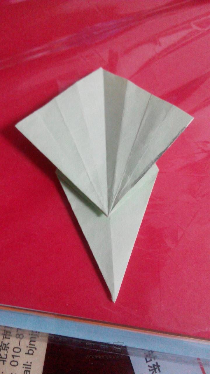 简易孔雀 折纸教程 第11步