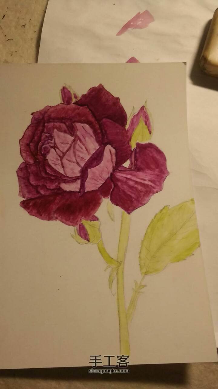玫瑰花（葡萄冰山）学习绘画 第3步
