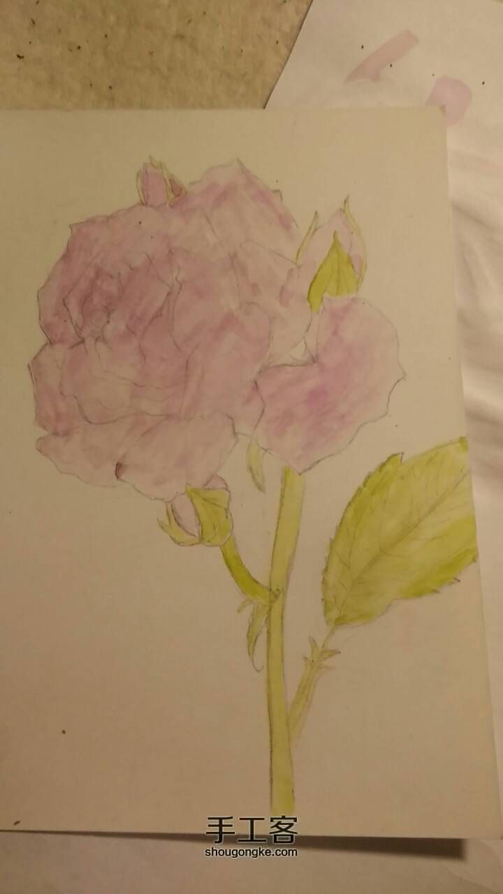 玫瑰花（葡萄冰山）学习绘画 第1步