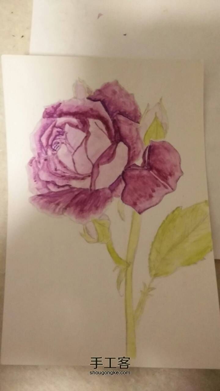 玫瑰花（葡萄冰山）学习绘画 第2步