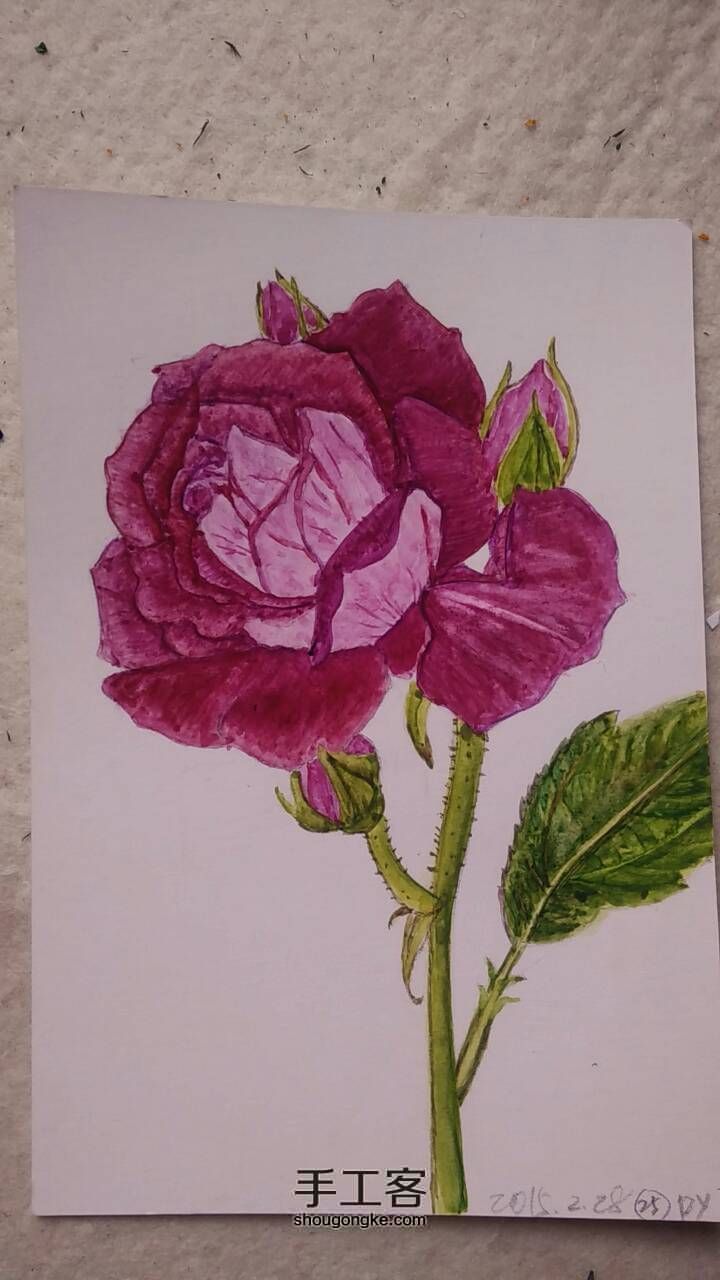 玫瑰花（葡萄冰山）学习绘画 第6步