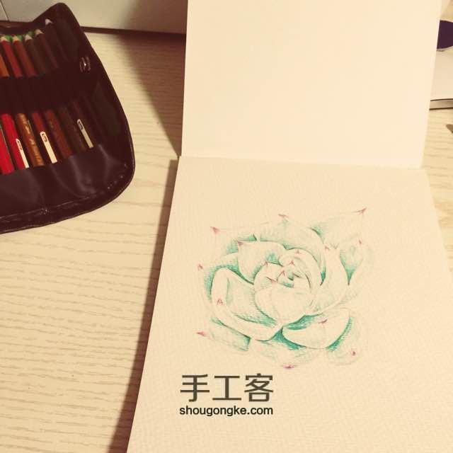 让多肉植物装点我们的生活吧～ 第1步