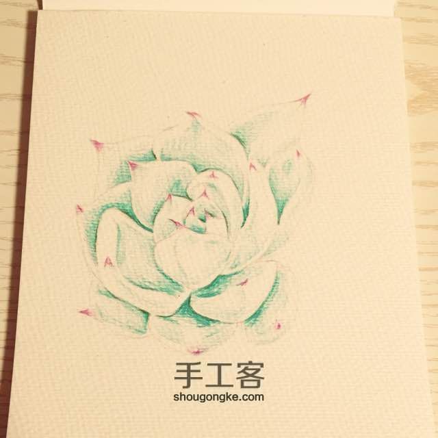 让多肉植物装点我们的生活吧～ 第2步