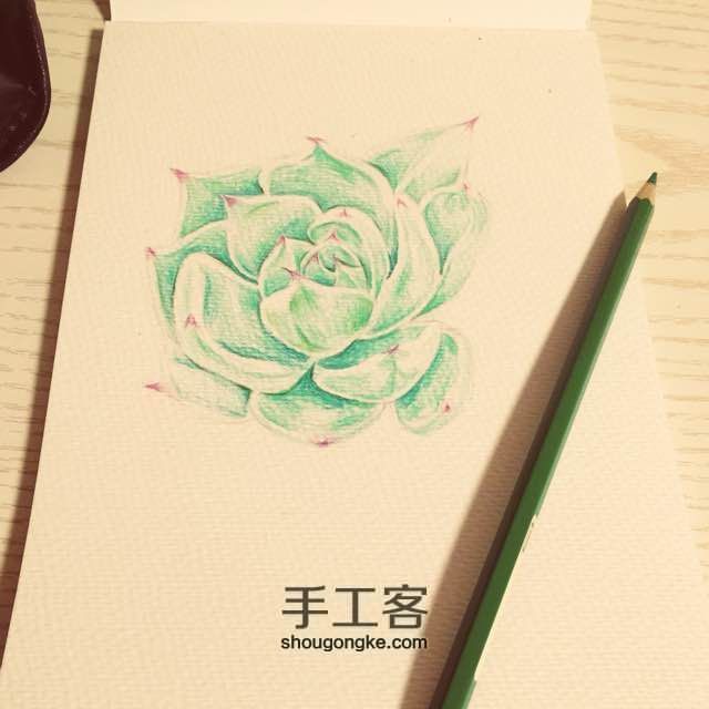让多肉植物装点我们的生活吧～ 第3步