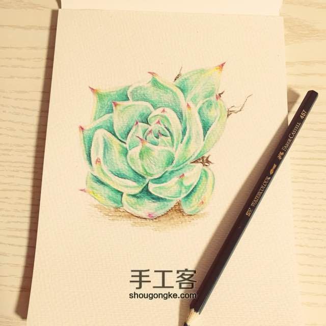 让多肉植物装点我们的生活吧～ 第5步