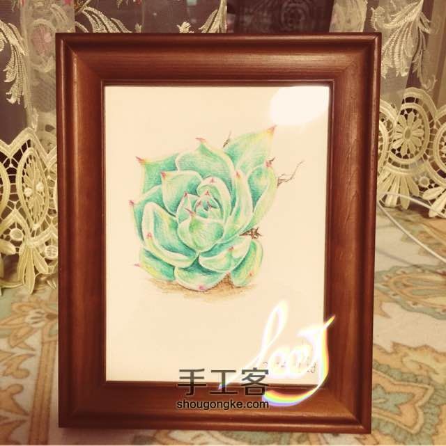 让多肉植物装点我们的生活吧～ 第6步