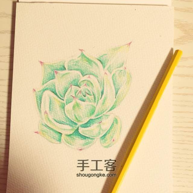 让多肉植物装点我们的生活吧～ 第4步