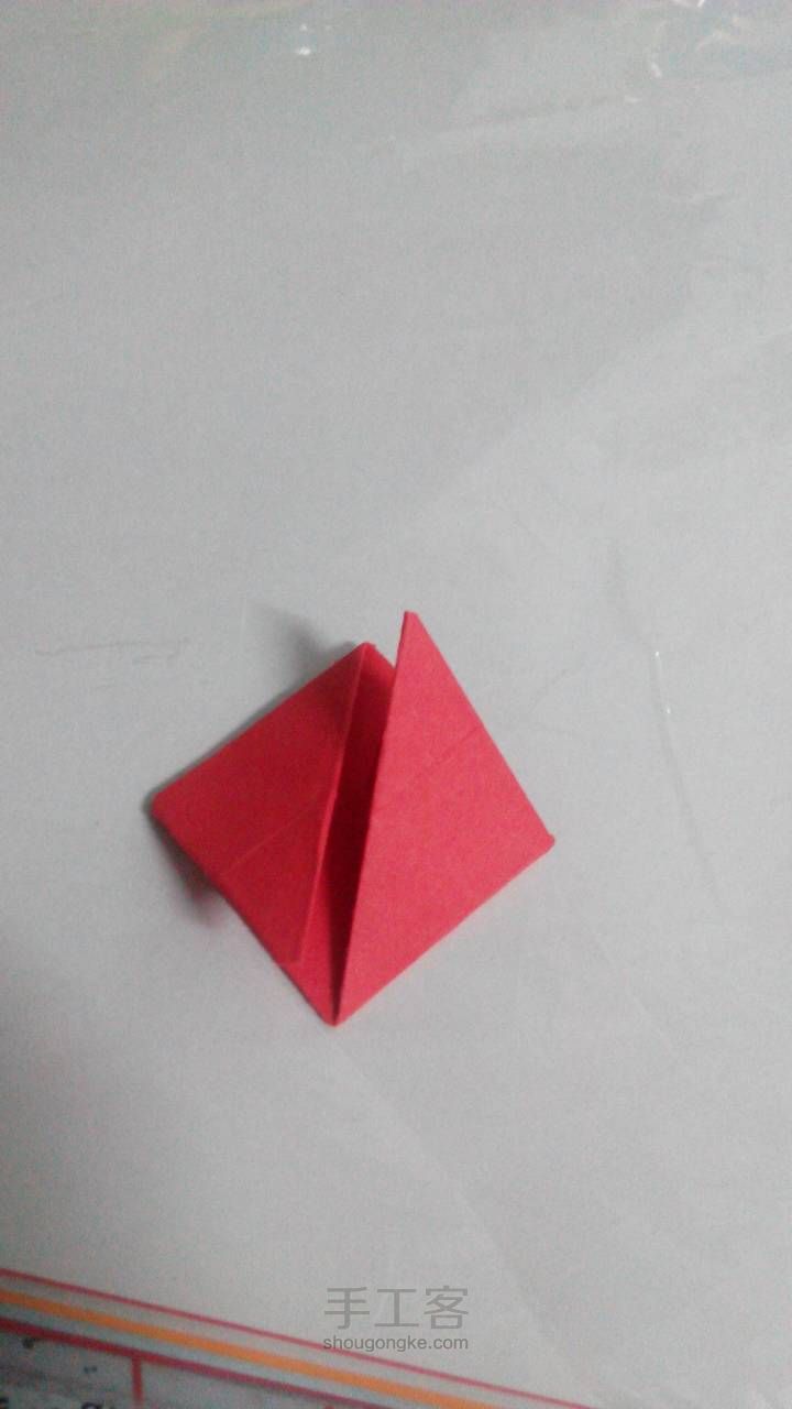 小小魔术花 折纸教程 第9步