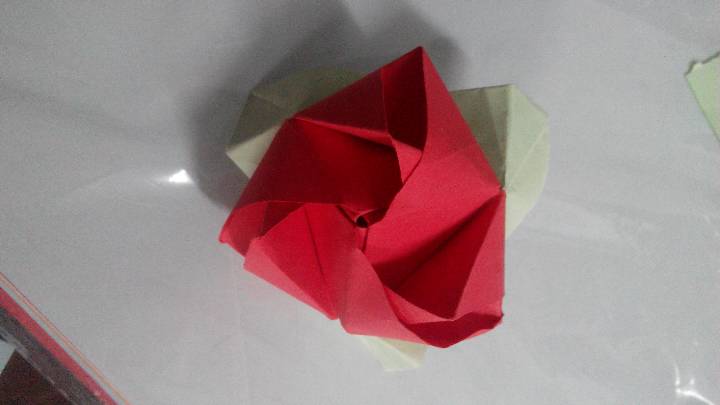 小小魔术花 折纸教程 第25步
