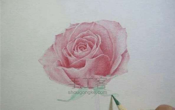 美哒哒的玫瑰花画法！ 第4步