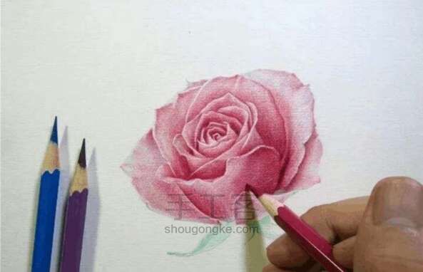 美哒哒的玫瑰花画法！ 第5步