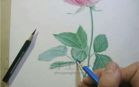 美哒哒的玫瑰花画法！ 第7步