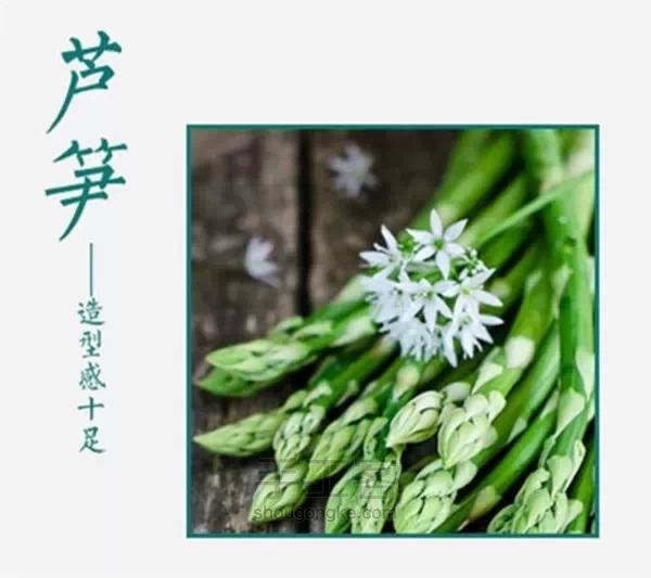 剩菜变盆栽 第2步