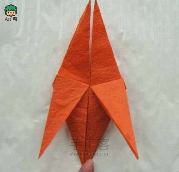 （转）折纸枫叶 第9步