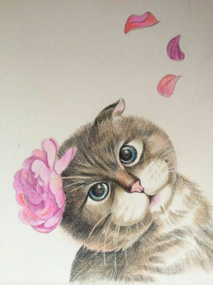 彩铅手绘可爱猫咪～亲们学起来～ 第1步