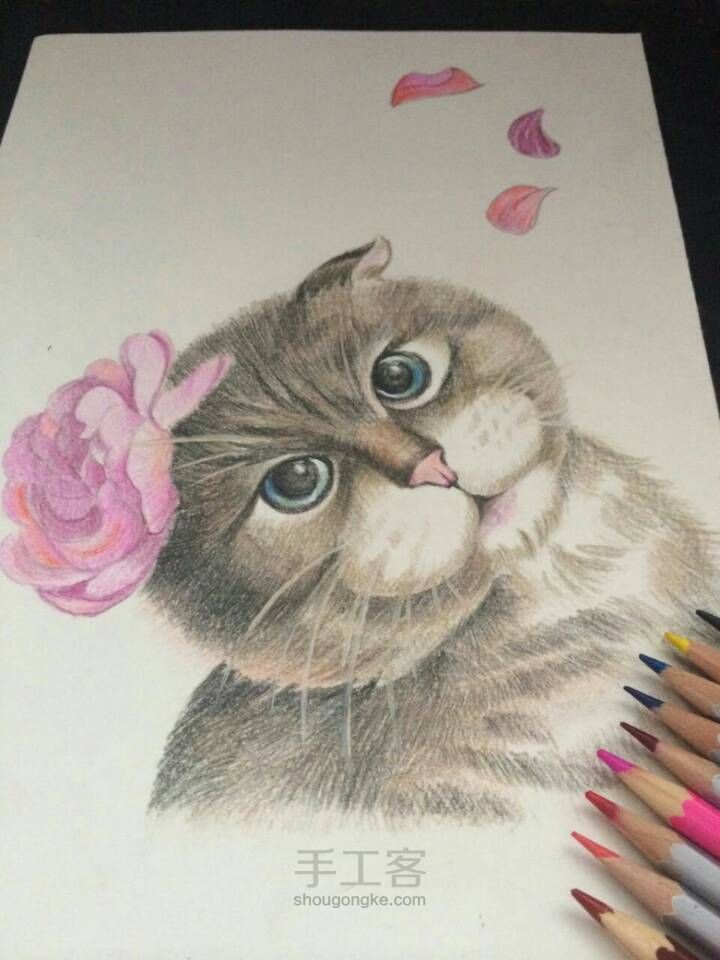彩铅手绘可爱猫咪～亲们学起来～ 第7步