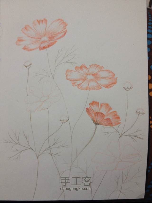 「植树节」一看就会。手绘小清新花朵 第4步