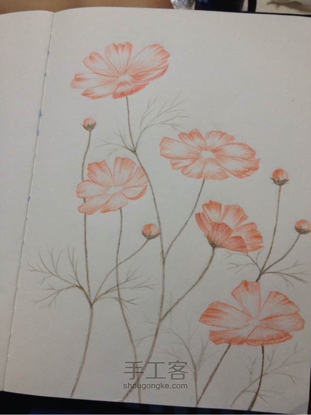 「植树节」一看就会。手绘小清新花朵 第6步